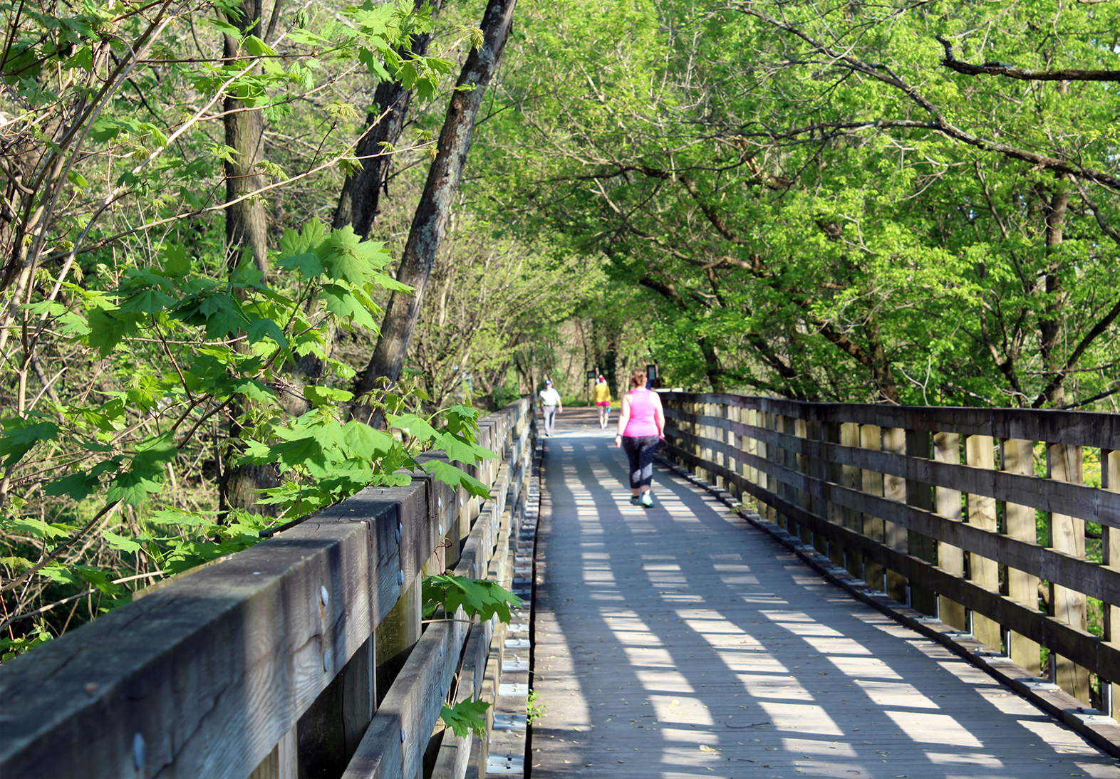 Creeper trail