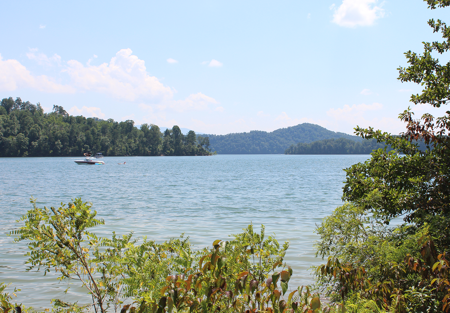 South Holston Lake